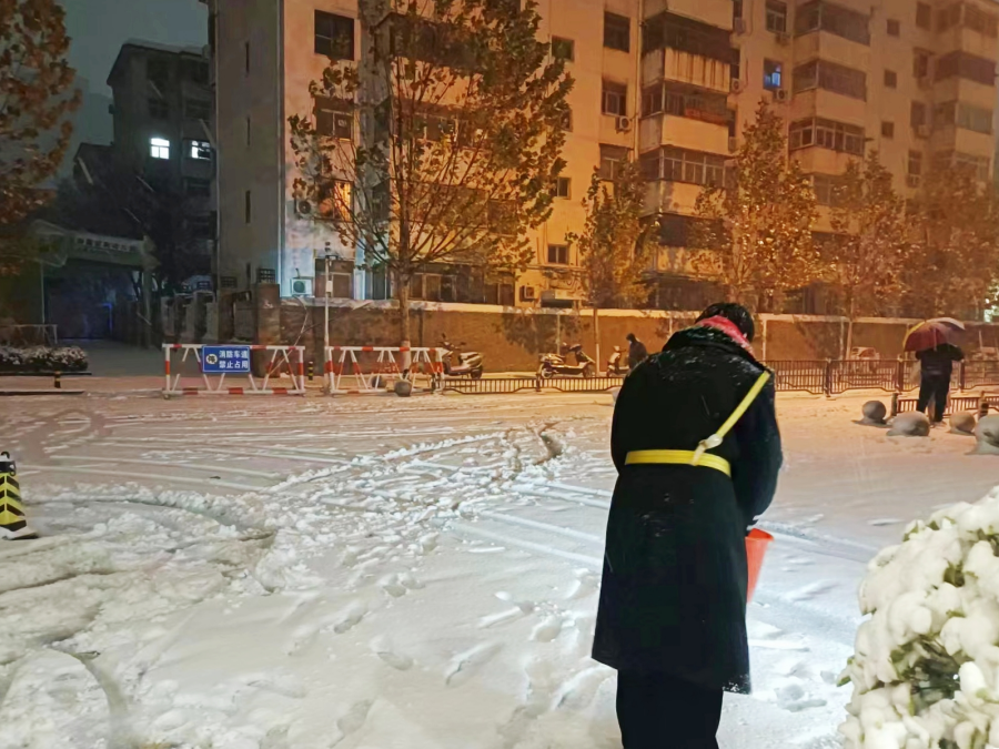 除雪更添暖！世茂服务郑州助农采购4000斤蔬菜送业主过暖冬_中国网地产